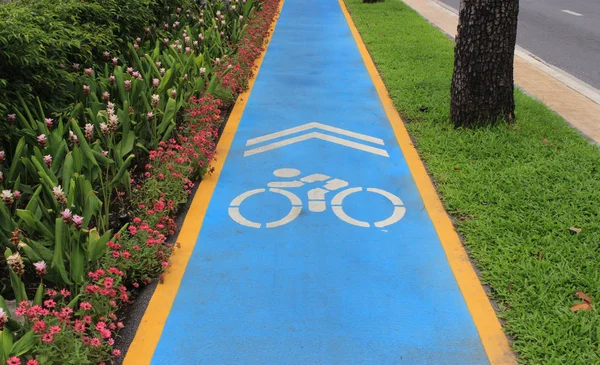 Parkta bisiklet yolu