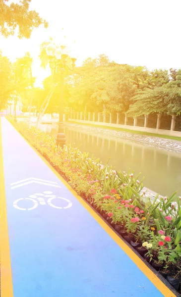 Parkta bisiklet yolu