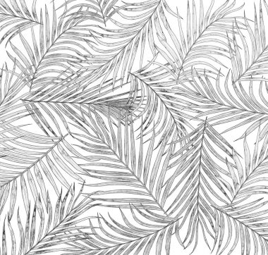 Palmiye ağacı arkaplan yaprağı