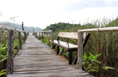 yeşil alan gölde bambu köprü geçit 