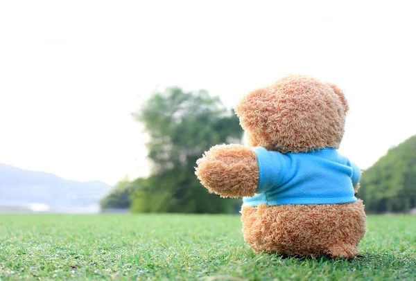 Teddybeer Zittend Het Gras Begrip Liefde Wachten Iemand — Stockfoto