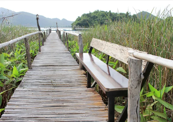 yeşil alan gölde bambu köprü geçit