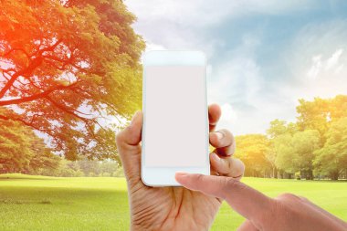 patlama ışık ile bahçede büyük ağaçlarda el tutun ve dokunmatik ekran akıllı telefon