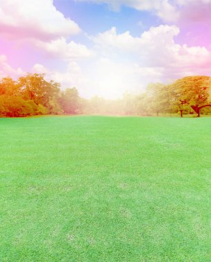 veri bloğu ışık ile Bahçe çim alanı