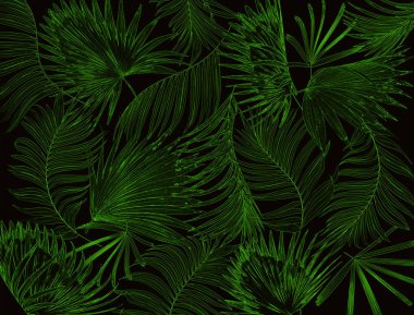 Palmiye ağacı arkaplanının yaprakları