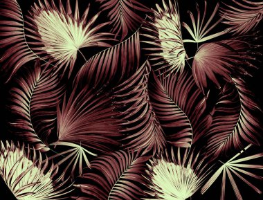 Palmiye ağacı arkaplanının yaprakları