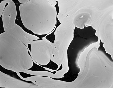 Bambu Ağacı duvar arka plan