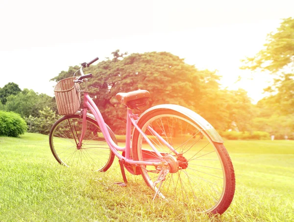 Parkta ışık patlamış bisikletler.