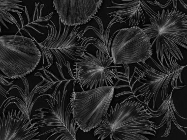 Palmiye ağacı arkaplanının yaprakları