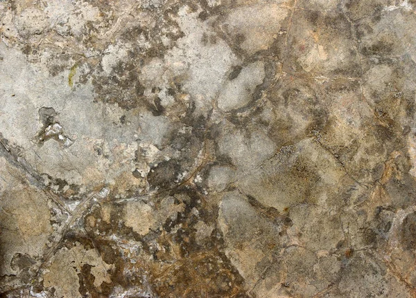 Yaş olarak çatlamış beton alçı duvar arkaplanı ve doku biçimi