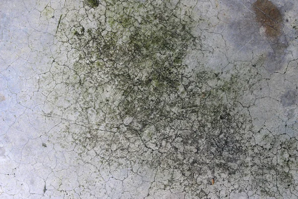 Yaş olarak çatlamış beton alçı duvar arkaplanı ve doku biçimi