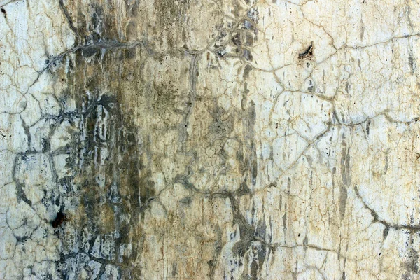 Věku rozpukaný betonu kámen omítnutá stěna pozadí a textury — Stock fotografie