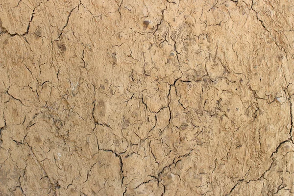 Ground Soil Crack Erosion Texture Background — Stock Photo, Image