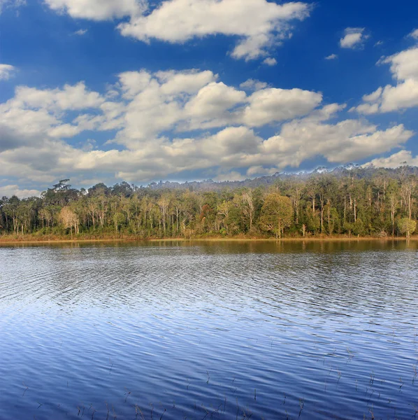 호수 숲 푸른 하늘과 구름 — 스톡 사진