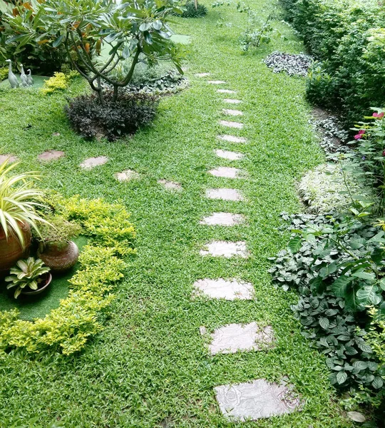 Chemin Pierre Chemin Promenade Dans Jardin Herbe Verte — Photo