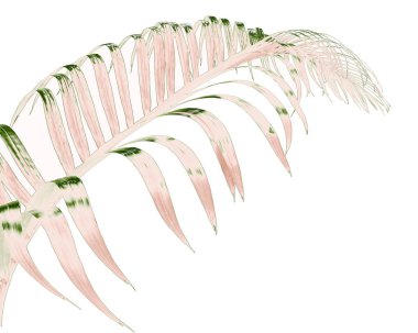 Tropikal yeşil palmiye yaprağıyla konsept yaz. Beyaz desenli arka planda yaprak dalları var. düz yatış, üst görünüm.