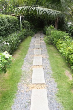 Bahçe yolu yemyeşil bitkiler ve ağaçlarla çevrili.