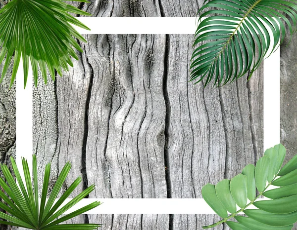 green botanical tropical palm leaves frame background