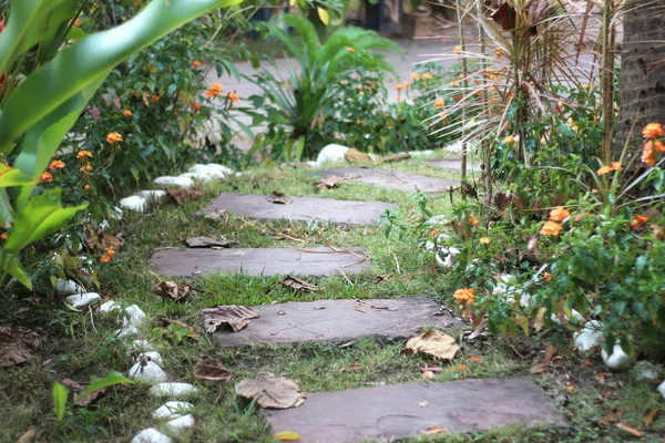 Sentier des étapes et des fleurs dans le jardin — Photo