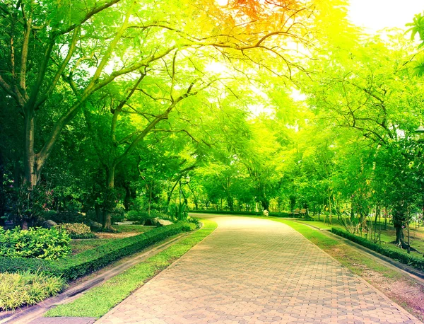 푸른 공원에 있는 다채 로운 석조 길 — 스톡 사진