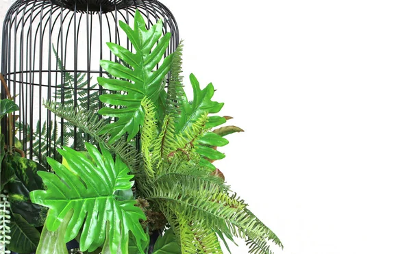 Fleur colorée et feuilles de palmier vert dans la cage pendaison décoratio — Photo