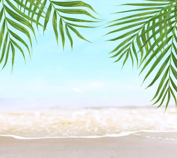 Groene kokospalmen bladeren bomen op prachtig zandstrand — Stockfoto