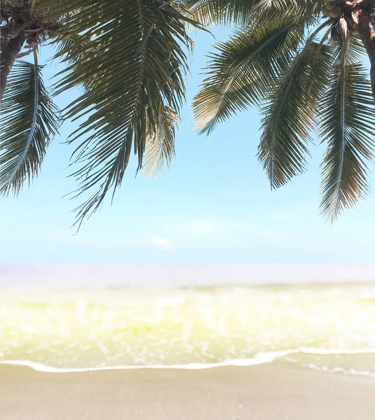Zelené kokosové palmy na krásné písečné pláži — Stock fotografie