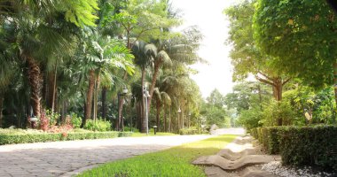 Yeşil ağaç parkında bahçe yolu