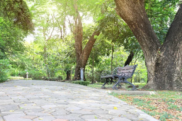 bench in the public garden park