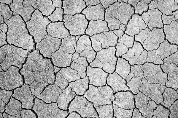 Black White Cracked Ground Background Stock Picture