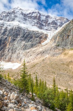 Angel glacier at Mount Edith Cavell, Jasper National Park, Canada 