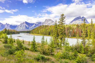 Mountain scenery with Athabasca river, forest and Canadian Rock