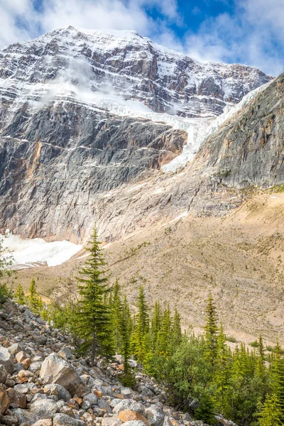 Angel Glacier Mount Edith Cavell Jasper National Park Canada Stok Resim