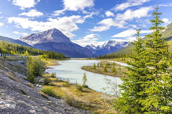 Scenic View Athabasca River Canadian Rockies Stok Fotoğraf