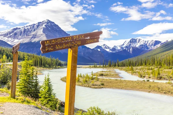 Sign Pointing Mushroom Peak Canadian Rockies — 스톡 사진