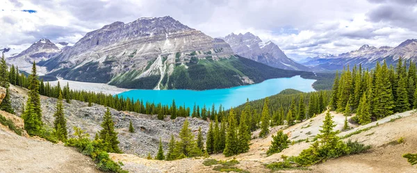 Panorama Jeziora Peyto Krajobrazy Canadian Rockies — Zdjęcie stockowe