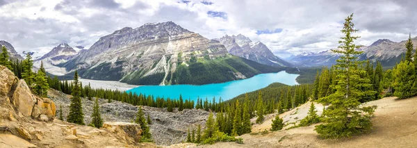 Panorama Jeziora Peyto Krajobrazu Kanadyjskich Gór Skalistych — Zdjęcie stockowe