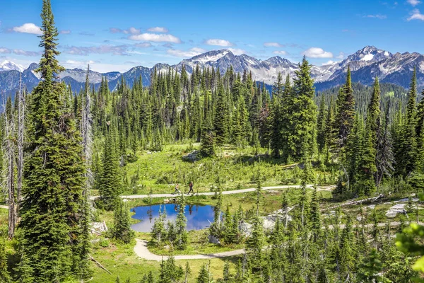 Scenic View Revelstoke National Park Canada Stok Resim