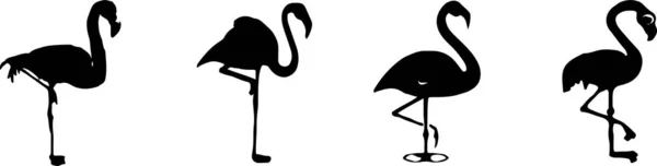 Flamingo Ikon Elszigetelt Fehér Háttér — Stock Vector