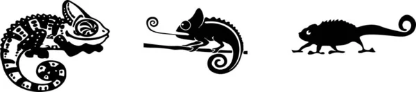 Chameleon Icon Isolated White Background — Stock Vector