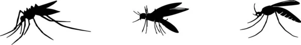 Icono Mosquito Aislado Fondo — Archivo Imágenes Vectoriales