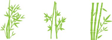 Arka planda bambu simgesi izole edildi