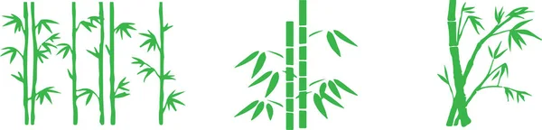 Ikona Bambusa Izolowana Tle — Wektor stockowy