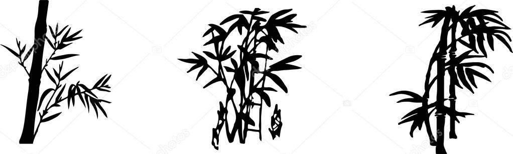 bamboo icon isolated on background