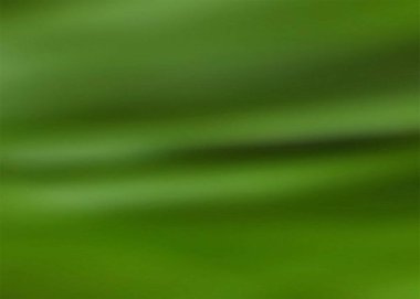 renk bokeh doğa tema arkaplanı