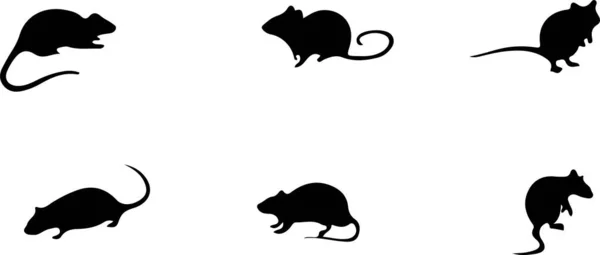 Ikon Tikus Terisolasi Latar Belakang - Stok Vektor