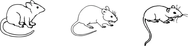 Icône Rat Isolé Sur Fond — Image vectorielle