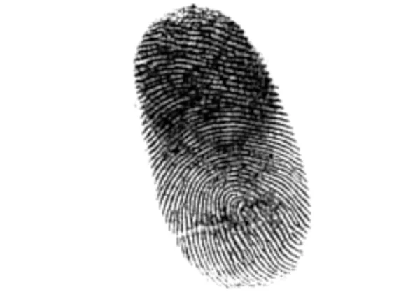 Иллюстрация Отпечатка Пальца Белом Фоне — стоковое фото