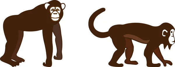 Silhouettes Tropical Monkey Vector Illustration — Stock Vector