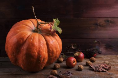 Orange pumpkin with cardoncelli mashrooms, apples, walnuts and colorful leaves on old rustic wooden boards. Autumn Thanksgiving day background